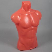 Манекен торс мужской скульптурный, пластиковый, телесный 640х930х730х850 мм